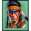 wild spirit deluxe native warrior guy symbol