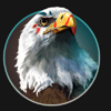 wild spirit eagle symbol