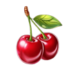 wild sunflower cherry symbol