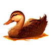 wild survivor duck symbol