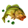 wild survivor fish symbol