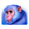 wild tiger monkey symbol