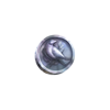 wild toro 3 coin silver symbol