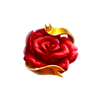 wild toro 3 rose symbol