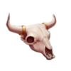 wild west express skull symbol