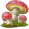 wild wild riches megaways mushroom symbol