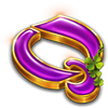 wild wild riches megaways queen symbol