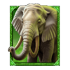 wild wildebeest wins elephant symbol