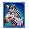 wild wildebeest wins zebra symbol