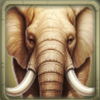 wildlife odyssey elephant symbol