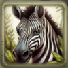 wildlife odyssey zebra symbol