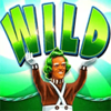 willy wonka pure imagination wild symbol