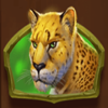 win a beest leopard symbol