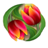 win mill tulips symbol