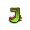 winfall in paradise j symbol