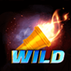 winners gold wild symbol