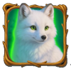 winter footprints arctic fox symbol