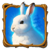 winter footprints white rabbit symbol