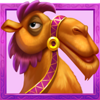 wish and spin fortune camel symbol