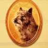 wizard of oz emerald city dog symbol