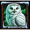 wolf fang frozen wilds snowy owl symbol