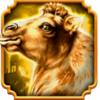 wolf fang nights of magic camel symbol