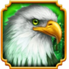 wolf fang nights of magic eagle symbol