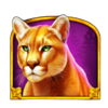 wolf gold 4 pack beast symbol