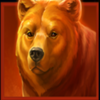 wolf power megaways bear symbol