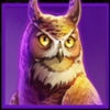 wolf power megaways owl symbol