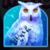 wolf saga owl symbol