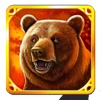 wolf treasure bear symbol
