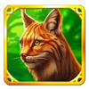 wolf treasure cat symbol