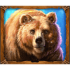 wolf wild bear symbol