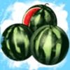 wolfs bet melon symbol