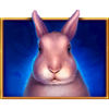 wolfs moon 2 rabbit symbol