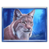 wolfwood prizetower lynx symbol