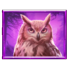 wolfwood prizetower owl symbol