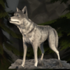 woodwoses magic wolf symbol