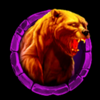 woolly wilds bear 1 symbol