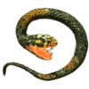 wrath of medusa snake symbol