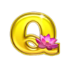 wu jin cai yuan q symbol