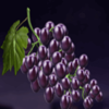 x and the city grape symbol