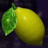 x and the city lemon symbol