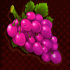 x wild slots grape symbol