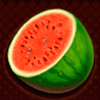 x wild slots watermelon symbol