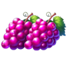 xmas coins 2 ultimate running wins grapes symbol