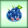 yggdrasil fatzs diner blueberries symbol