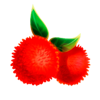 yin yang legends red fruits symbol