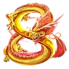yin yang wild twins golden dragon symbol